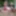 CRAZY Wild Girls FUCK in India