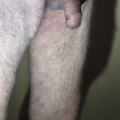 いくつかの写真