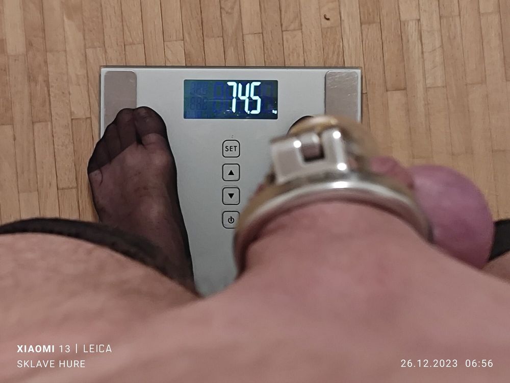 Mandatory weighing cagecheck plugcheck December 26, 2023 #16