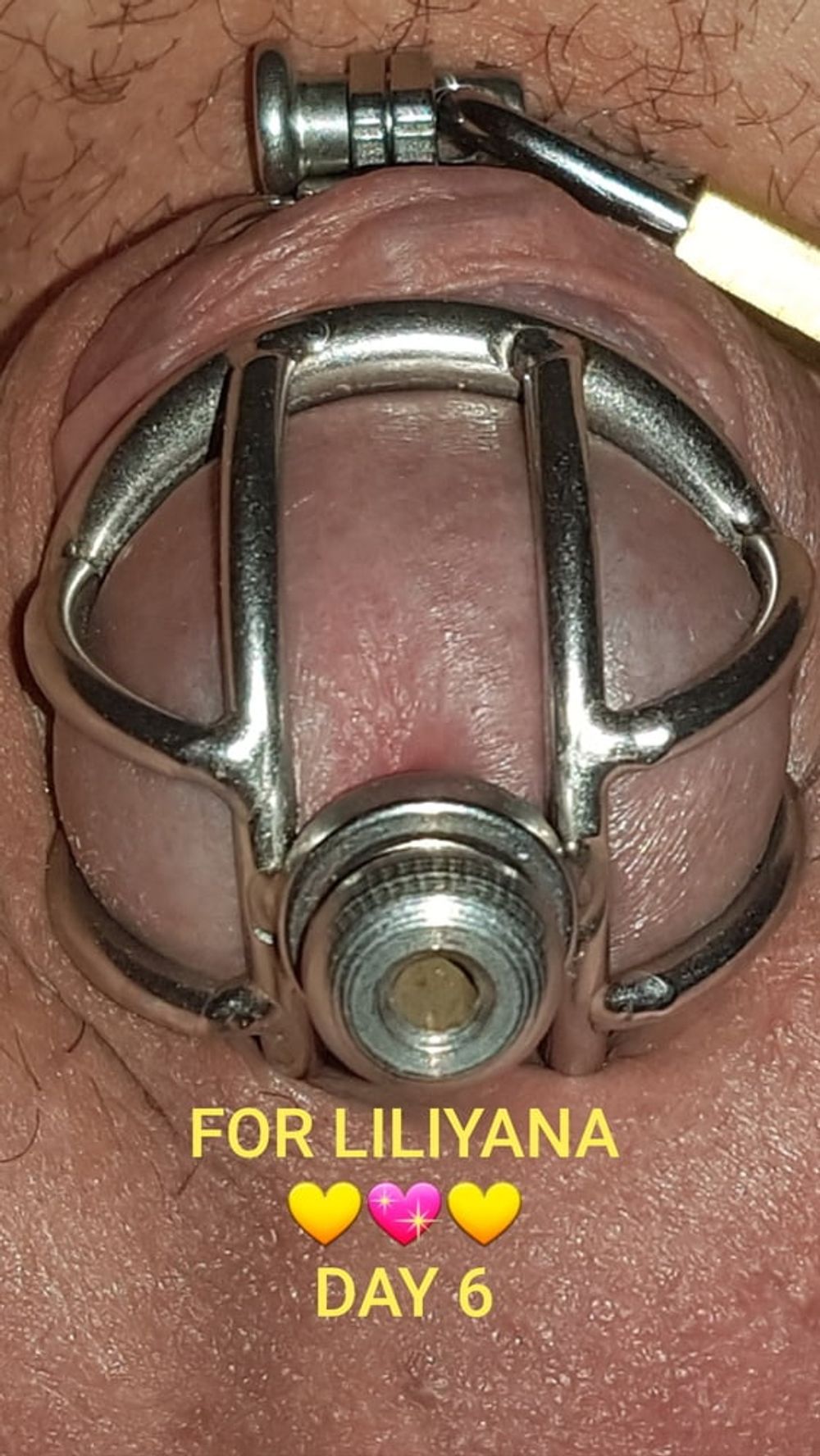 Chastity cage for Liliyana #6