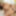 Riina Okamoto :: She reveals her true identity in bed - CARI