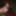 2019 random  #21