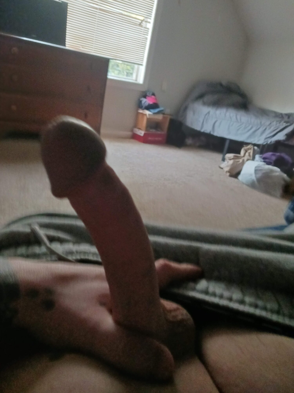 Cream pie from Mdick  #2