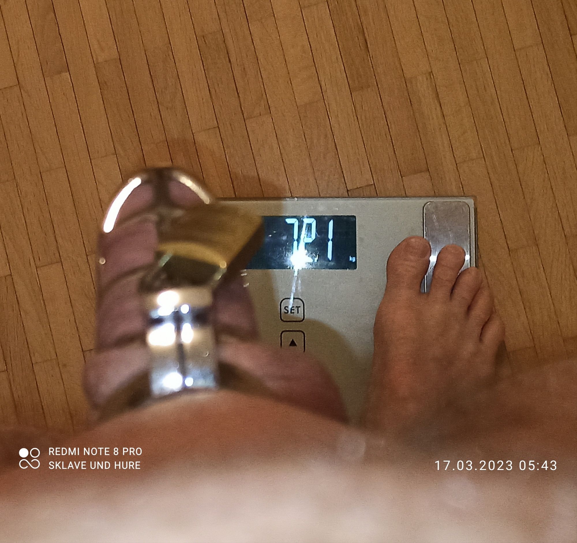 mandatory weighing and cagecheck of 17.03.2023 #4