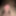 New close ups  #16