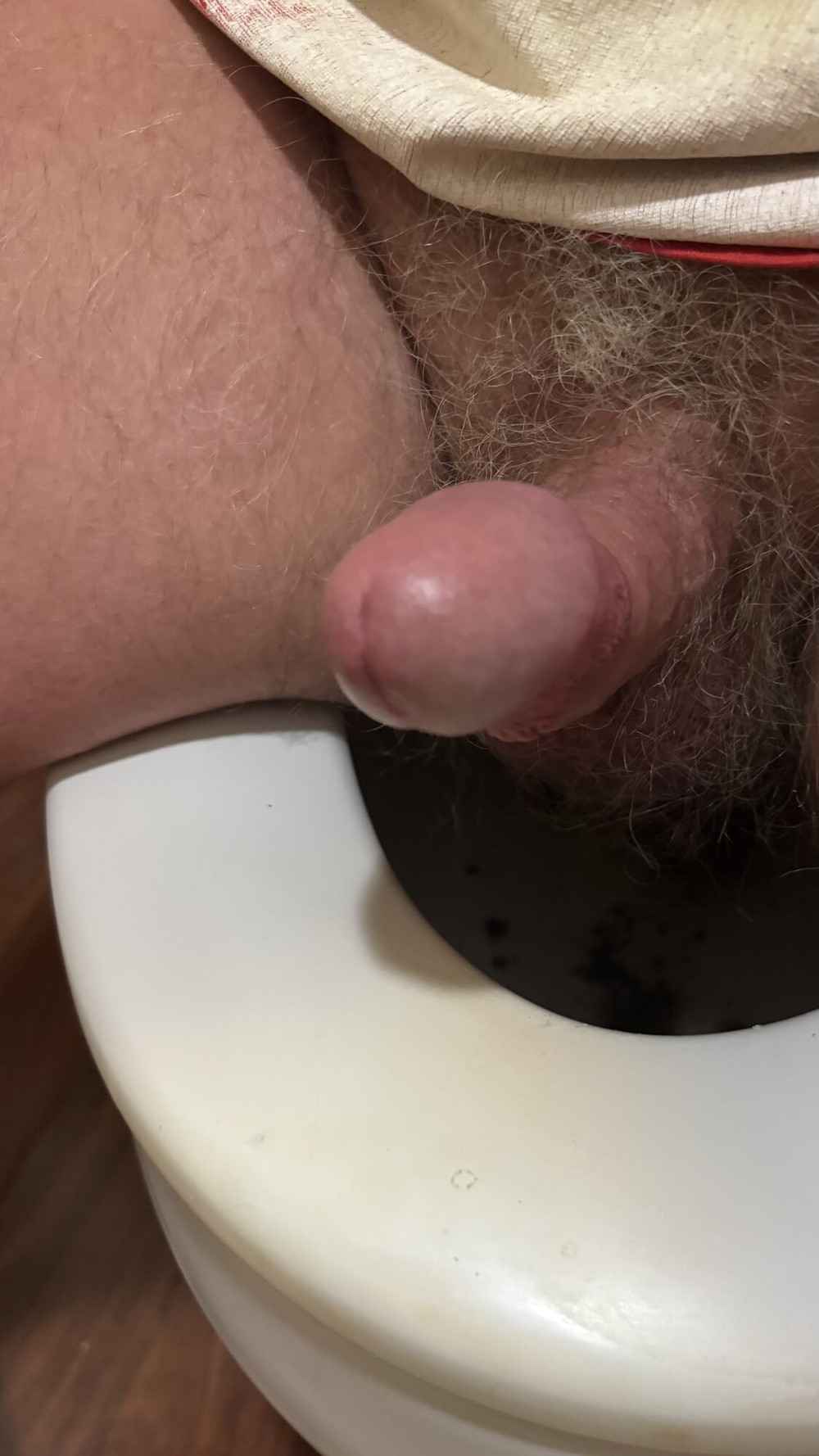 MERRY CHRISTMAS and HAPPY NEW YEAR 2026 #4