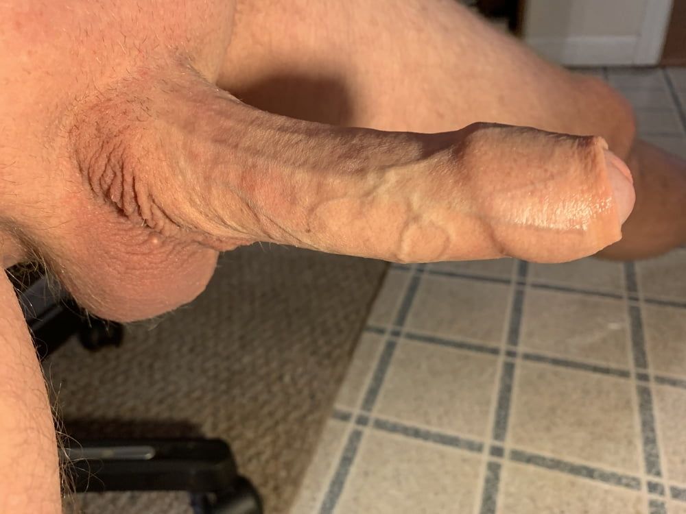 Cock #7