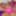 SYDNEYSCREAMS: Whats A Daisy Chain Between Friends