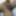 Desi Nude Boy Bedroom 