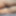 Covo_sissy_cross