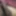 My album an profile pic  #4