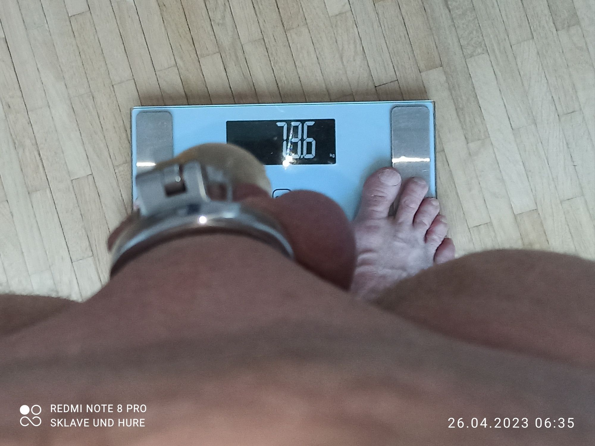 weighing cagecheck 26.04.2023 #14