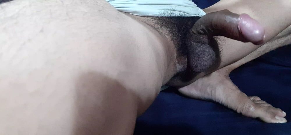 Cock  #51