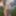 Photo shooting with cum slut Dany Sun in the garden - part 2 #7