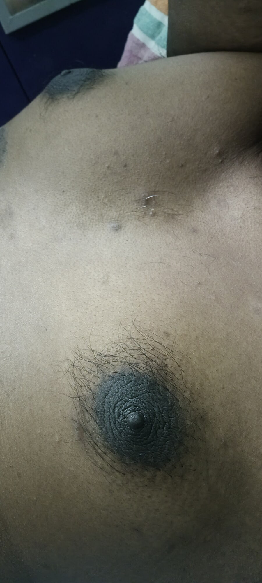 Closeup  #5