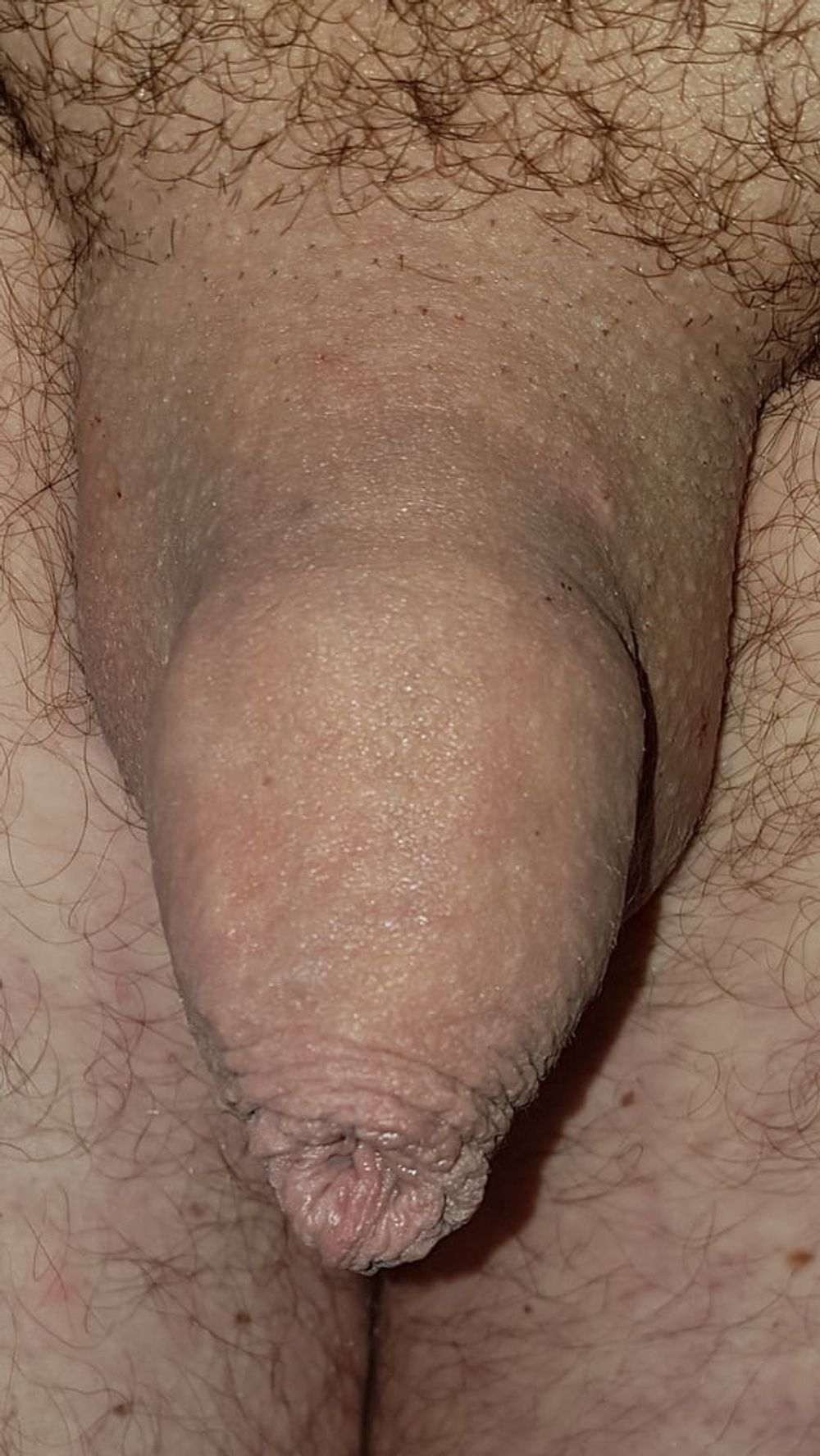 Shaved #6