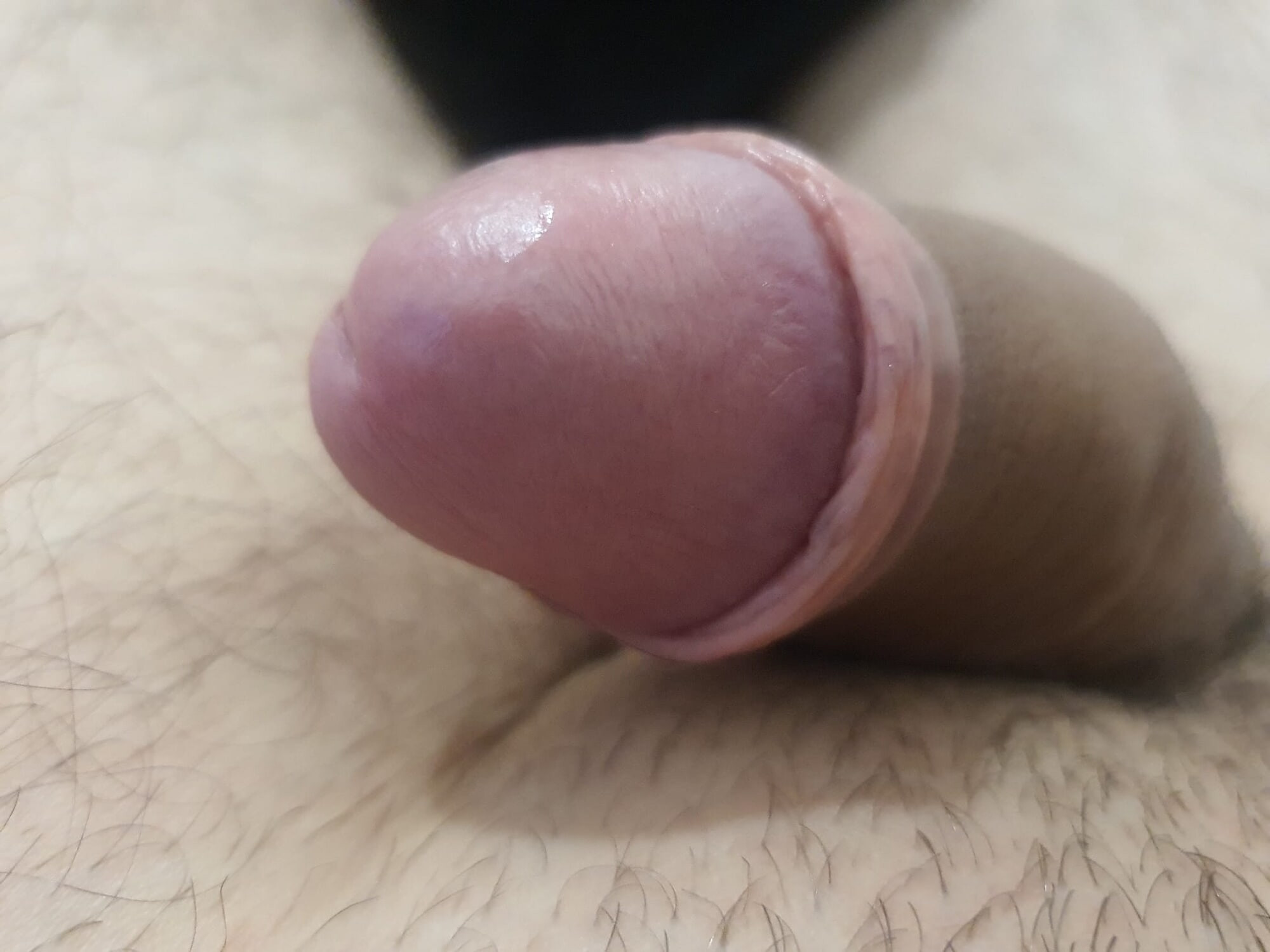 my dick #4