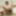 Shaz Max Big Dick porn