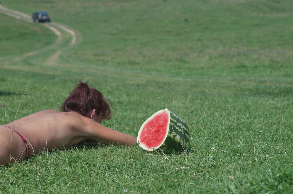 Watermelon #18