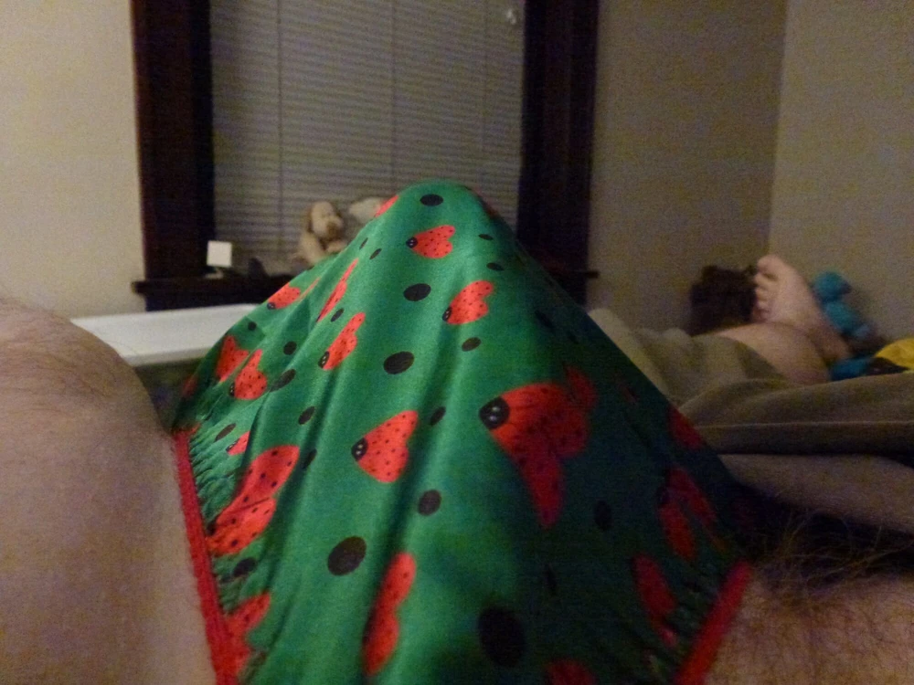 Satin Panties #3
