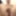 Mandatory weighing cagecheck big plugcheck December 28, 2023