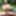 Enjoy Nudity