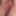 My favorite pussy pics