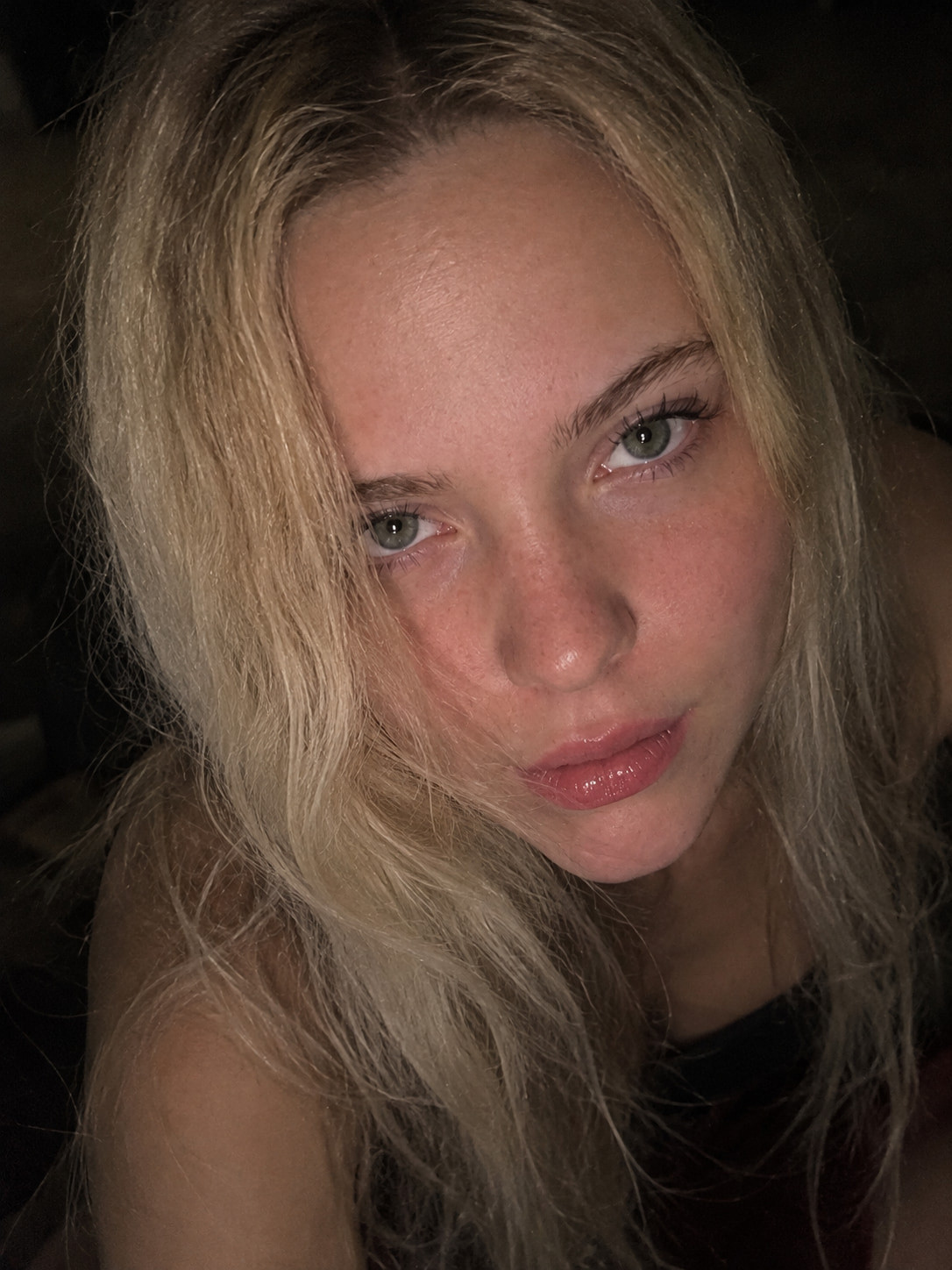 Free Polly Photos