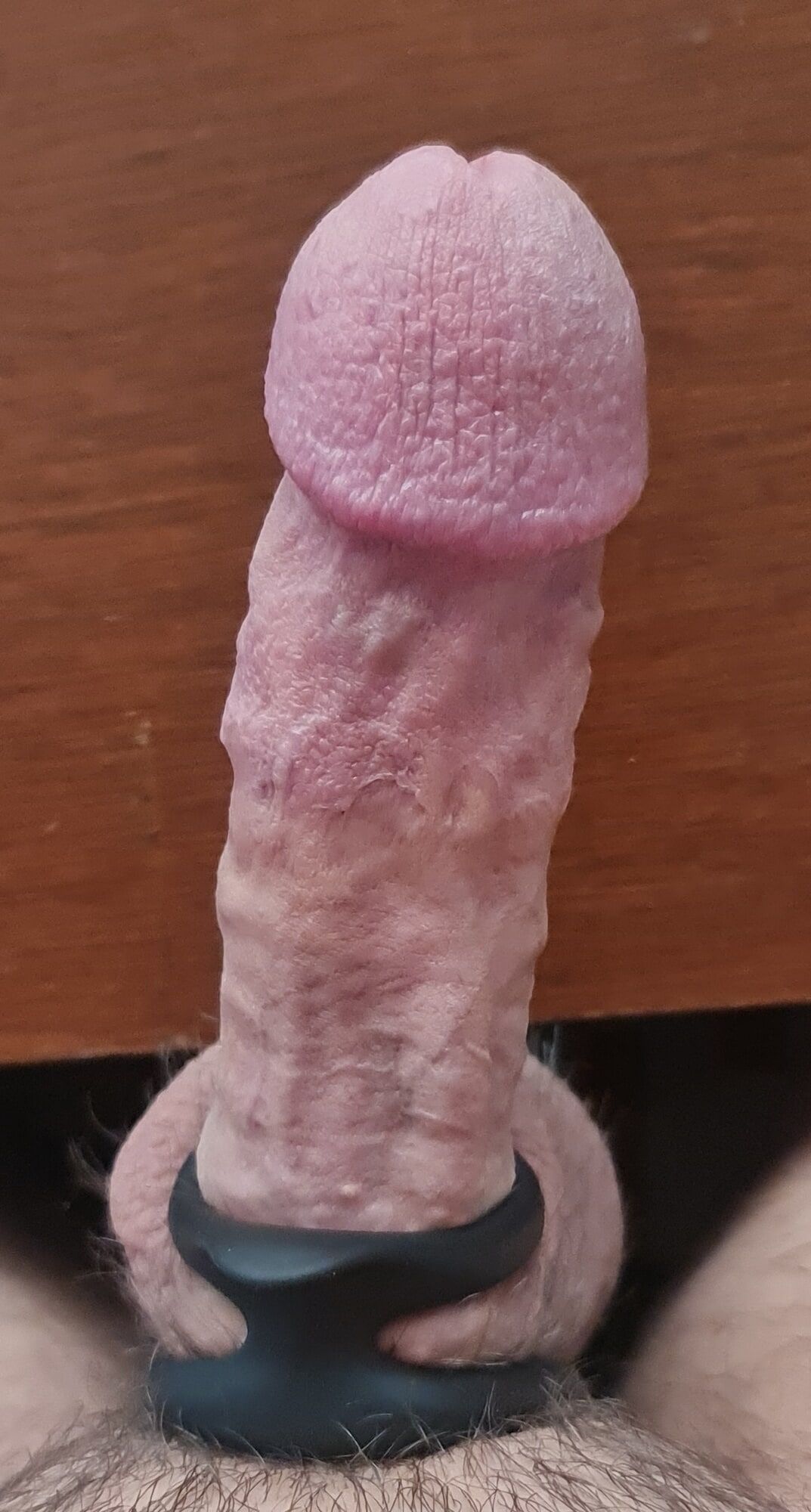 Veiny hard cock for your slutty mouth
