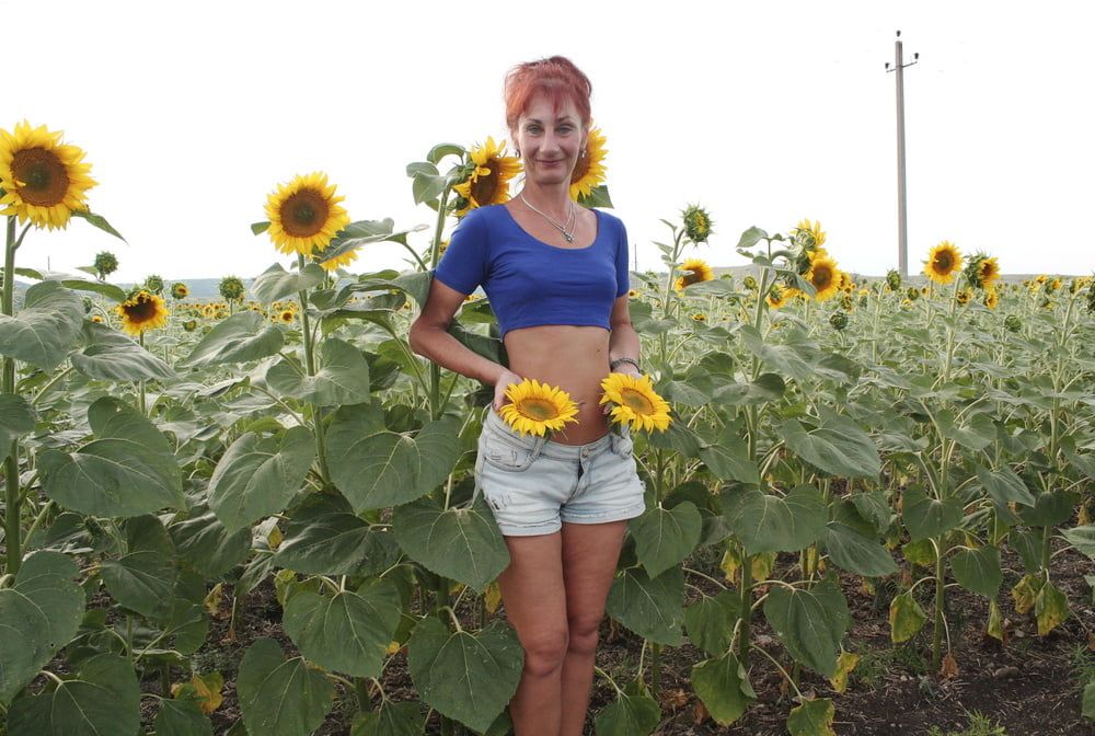 Sunflowers #6