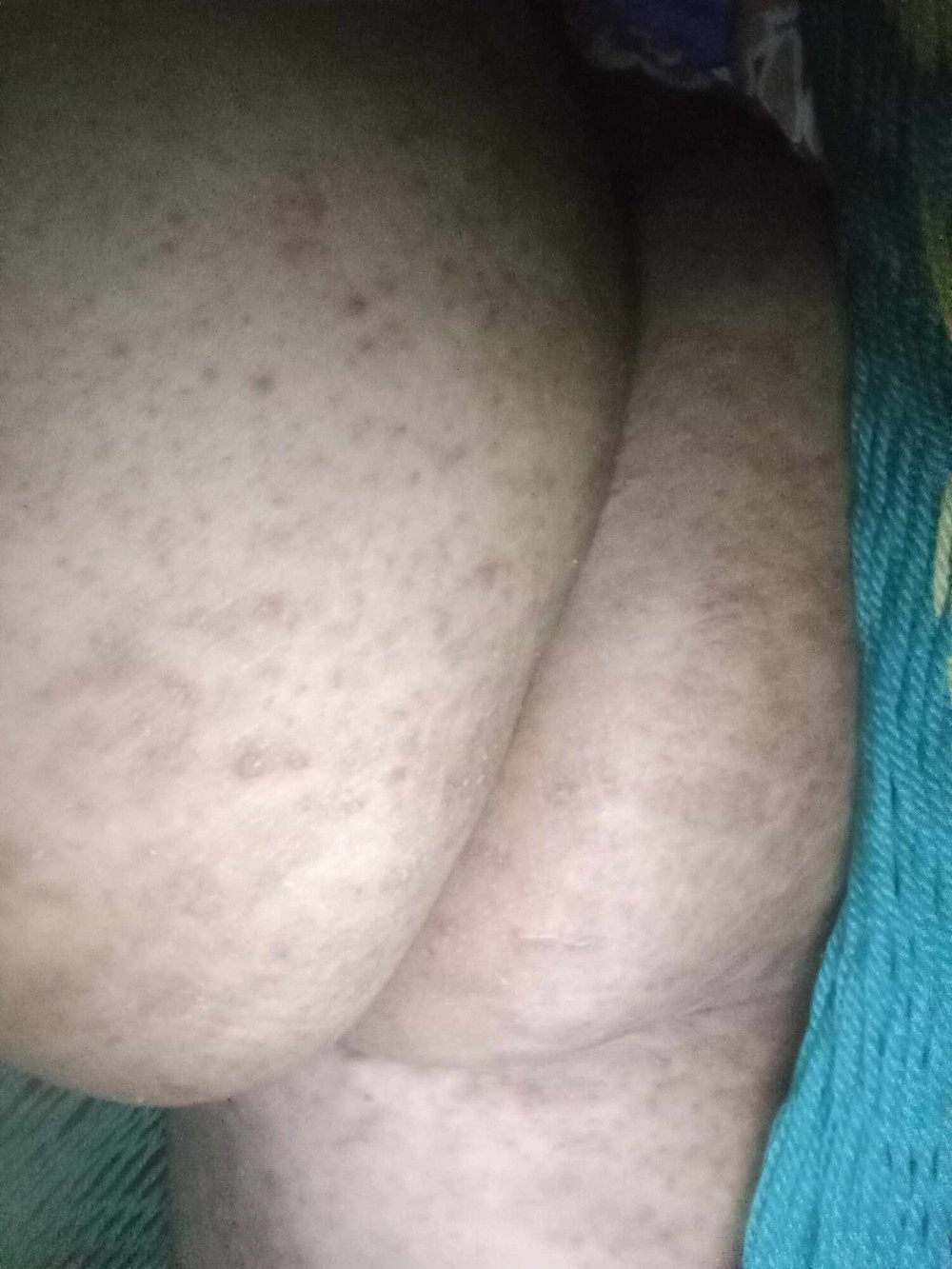 My neighbor send me this #55