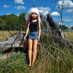Doll