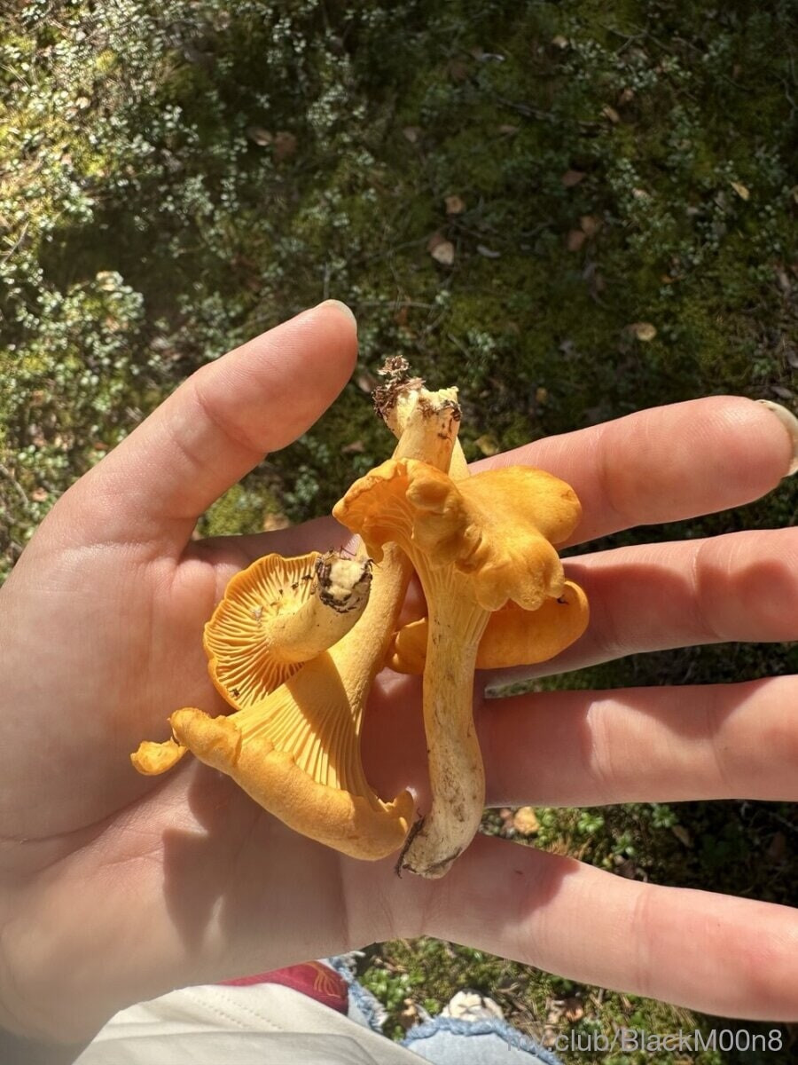 moon Free Photos #12