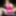 Sissy public exposure slut outdoors in pink bra and panties!
