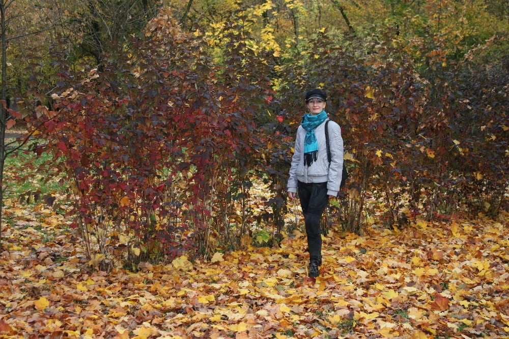 autumn park