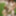 BIG Lesbian Orgy with Grannies and Young Girls PART 1 #34