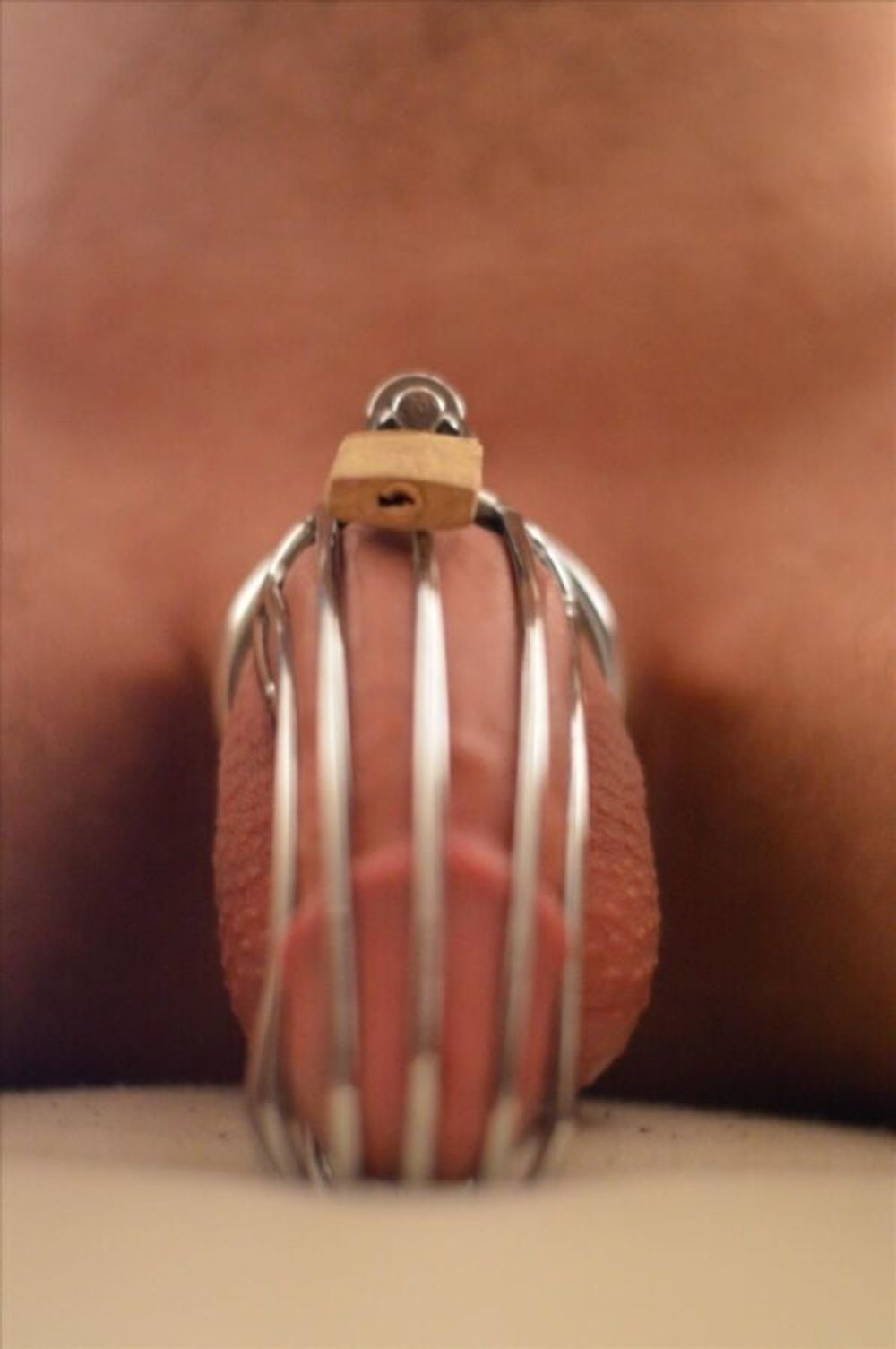 Cock in chastity #3