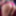 SHEMALE erotic non nude pictures #47