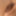 micro penis or big clit?