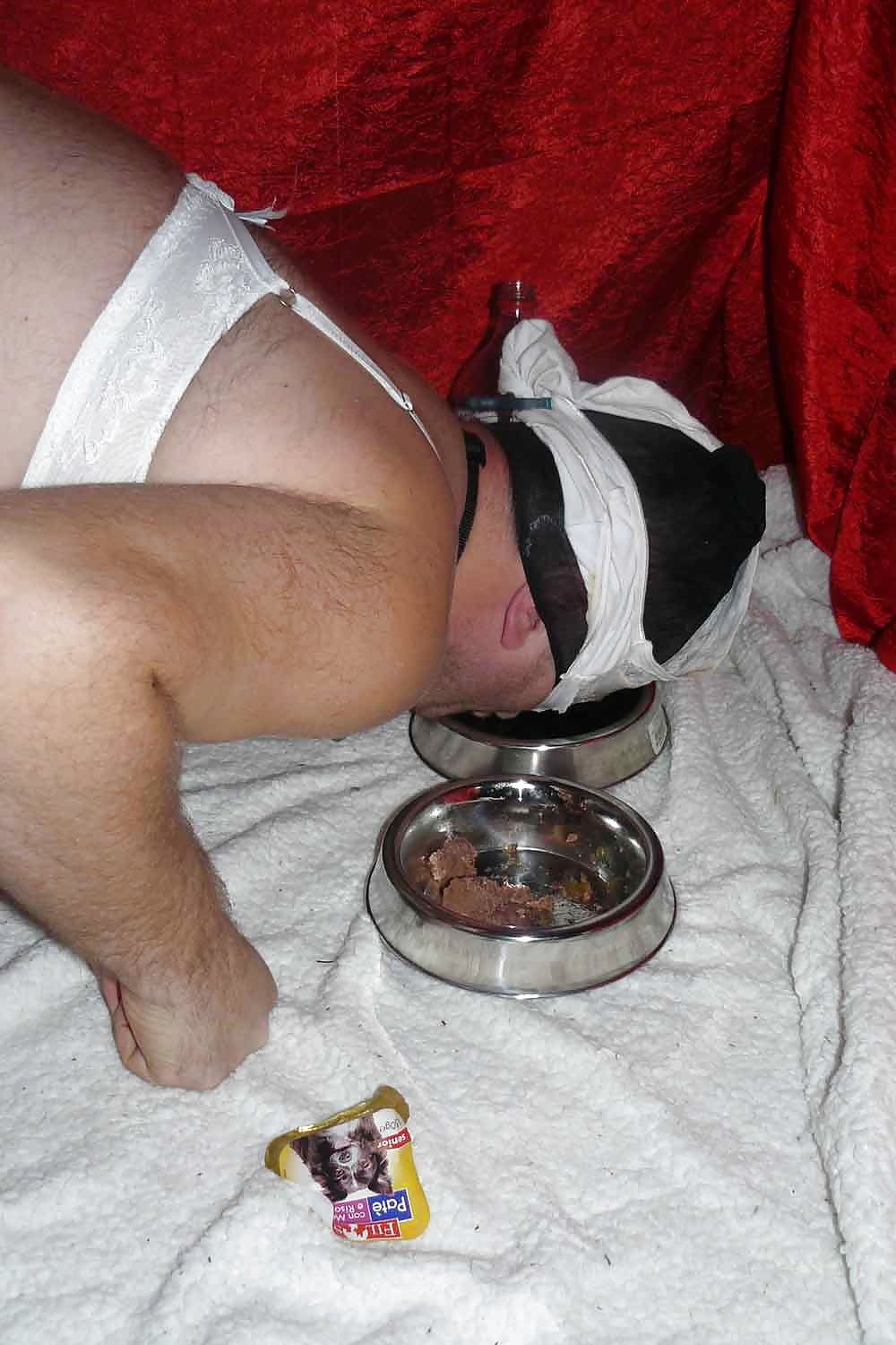 sissy-doggie eat dogfood for Mistress Celine #12