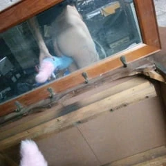 Me with my tail 