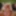 Hairy wife Hanna shoots a sex video
