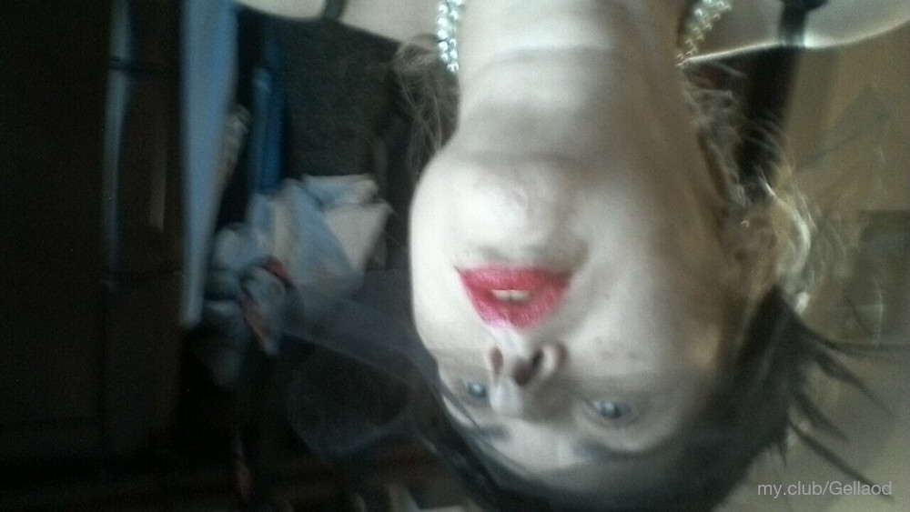 Gellaod Free Photos #17