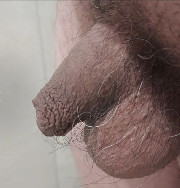 small and useless cock for whoever wants #4