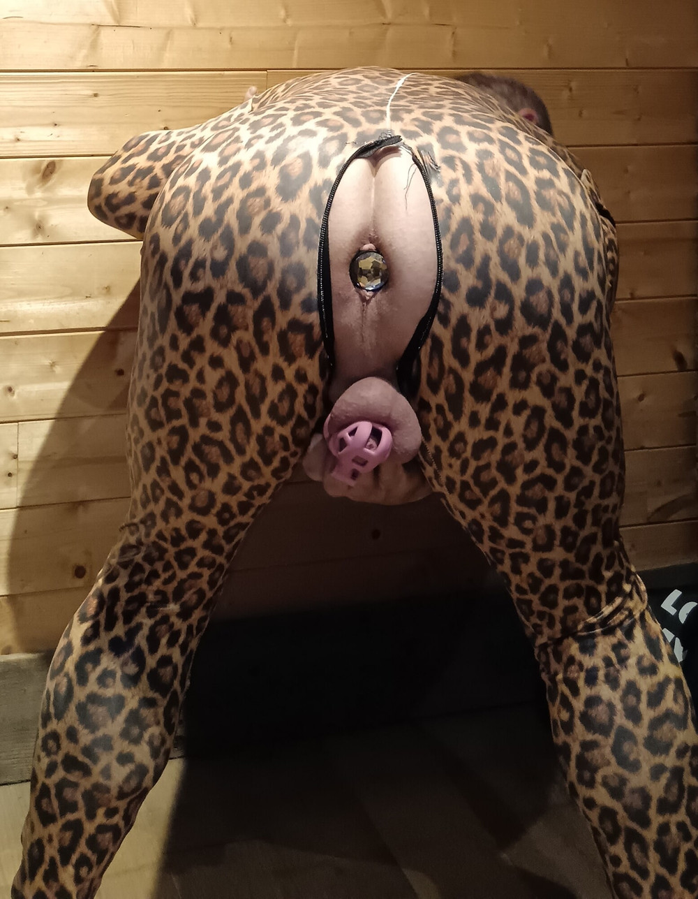 leopard #5