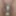 Oktober 7, 2024 Daily duty of the naked slave #3