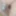 Daily duty of the naked slave April 3rd, 2024 #5