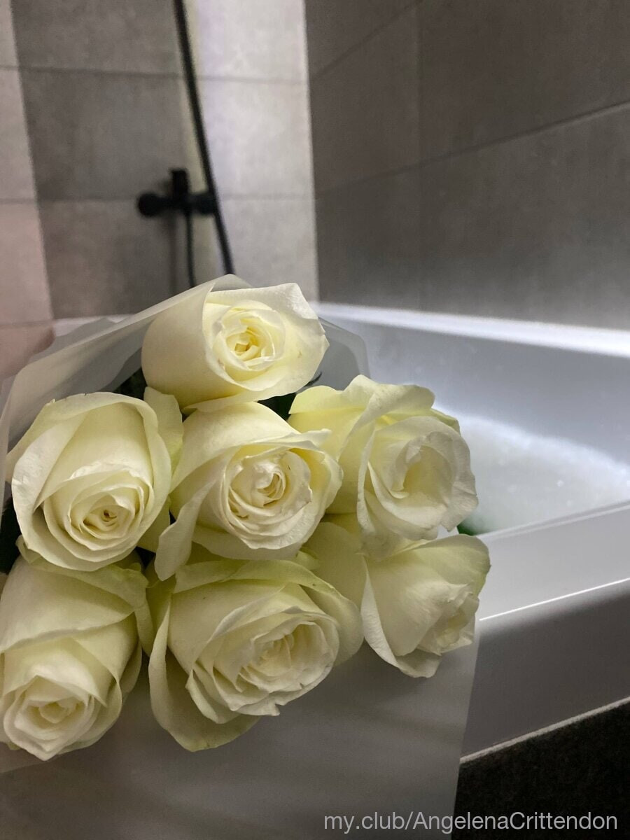 Molly Free Photos #20