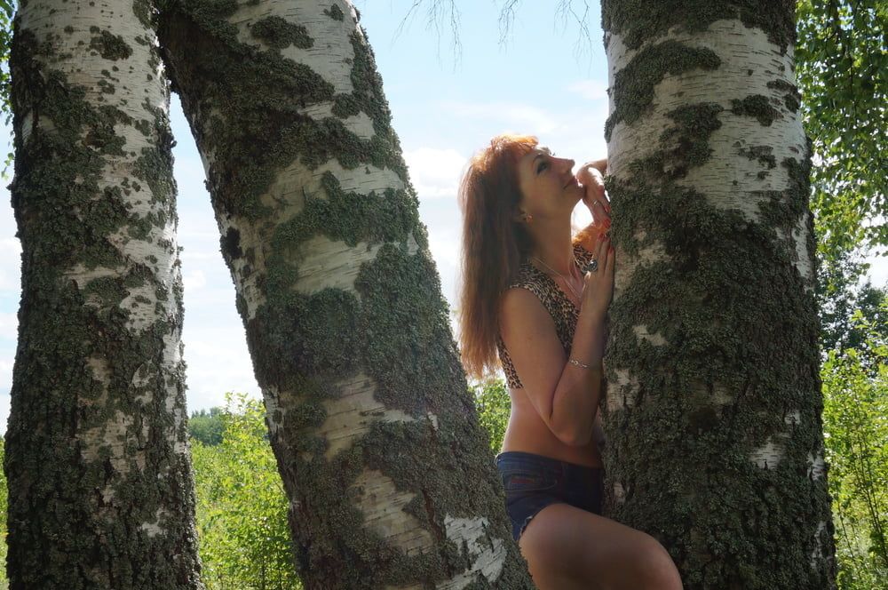 Red Hair and Birch