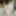 Shino Aoi :: Sexual Dream Comes True 2019 - CARIBBEANCOM #17